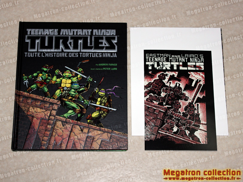 L'histoire des tortues ninja