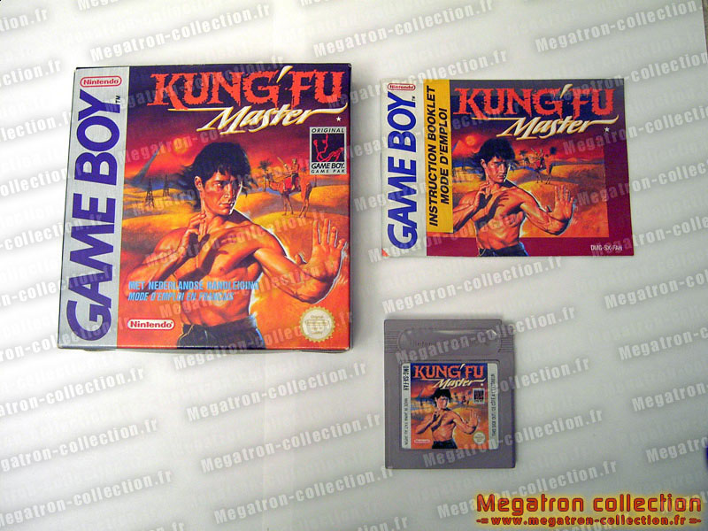 Kung-Fu Master
