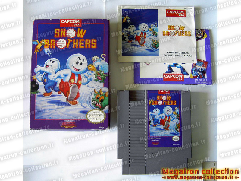 Snow brothers
