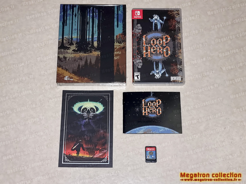Loop hero : collector