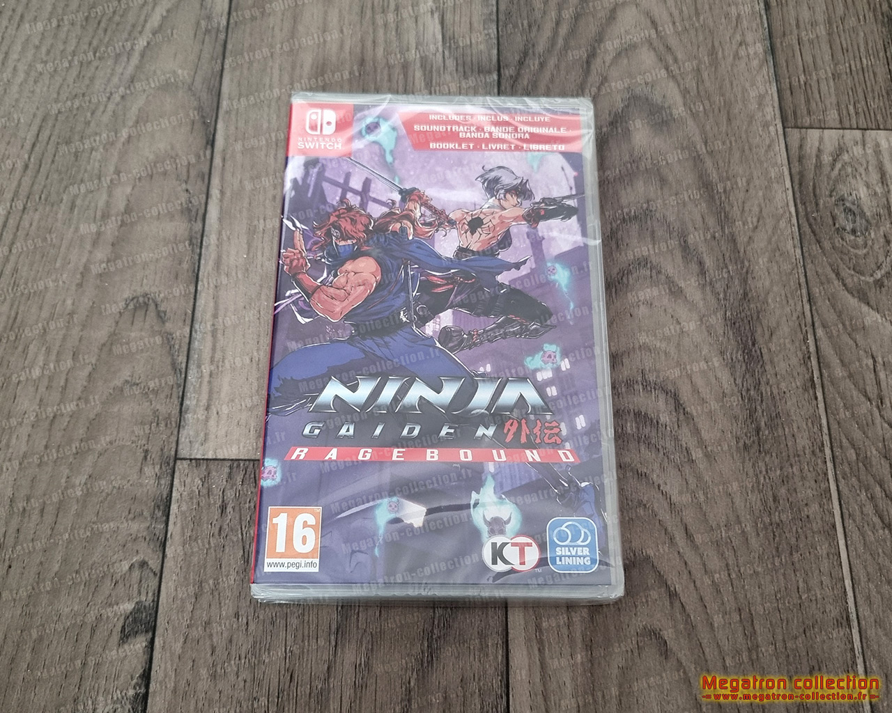 Ninja Gaiden: Ragebound