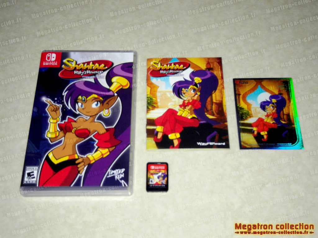 Shantae: Risky's Revenge - Director's Cut