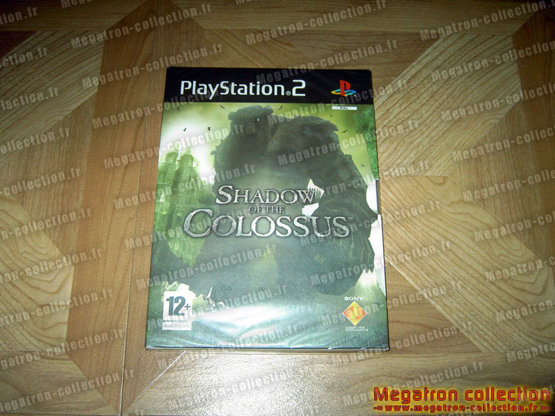 Shadow of colossus