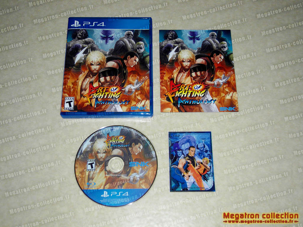 Art of fighting anthology