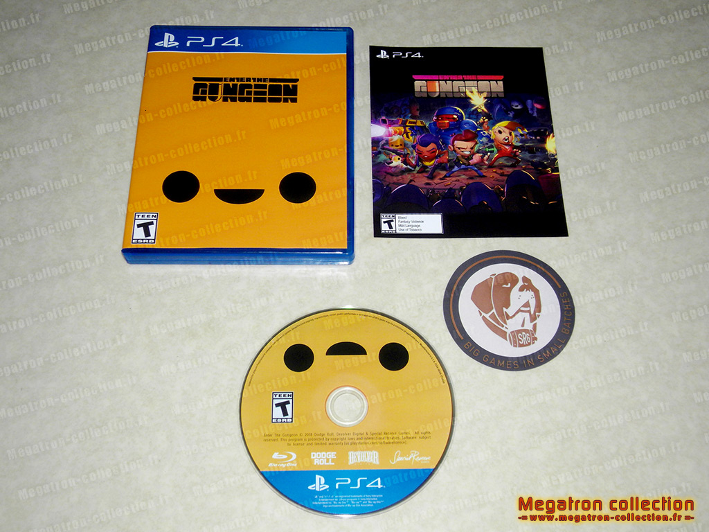 Enter the gungeon