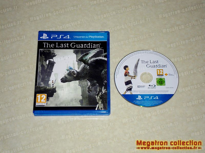 The last guardian