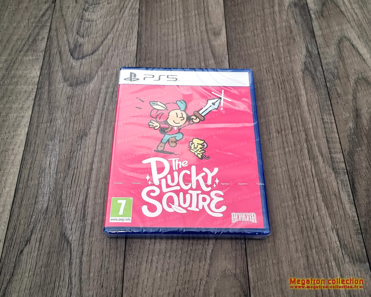 The plucky squire