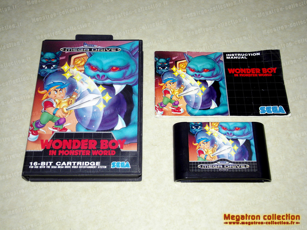 Wonder boy in monster world