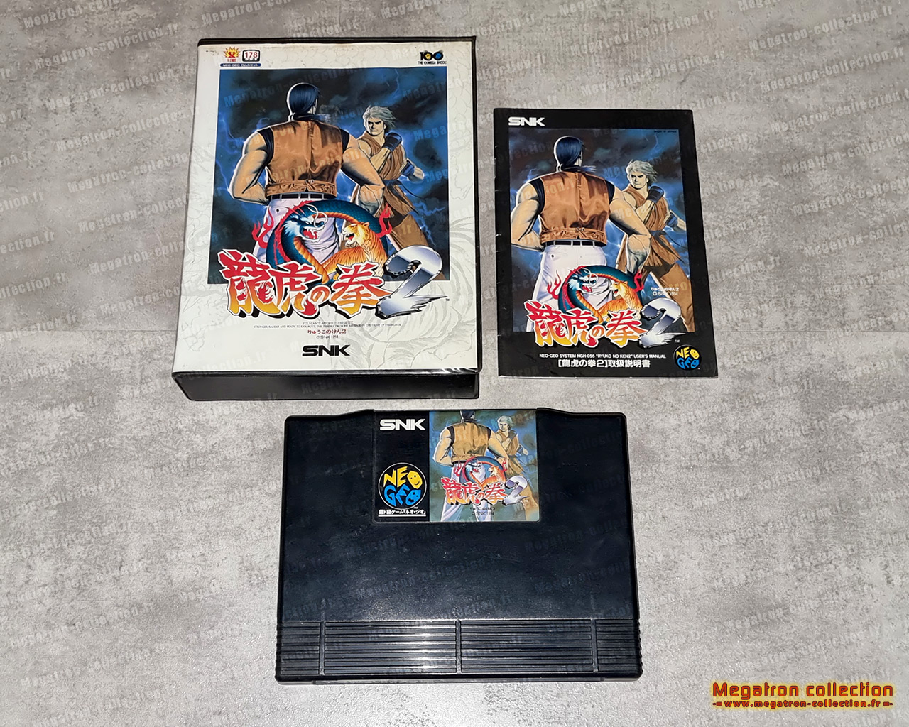 Art of fighting 2