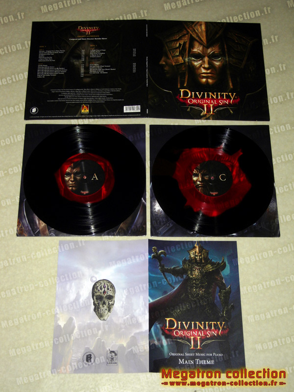 Divinity original sin 2